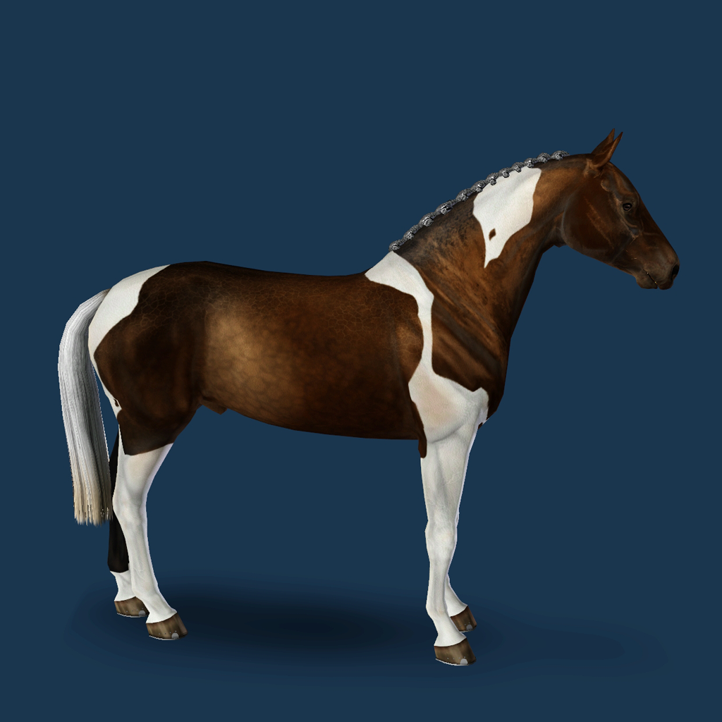 Sims 3 packs in packagesdaruma fields saddlery saddles